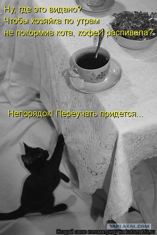 Ну, где это видано? Чтобы хозяйка по утрам не покормив кота, кофеИ распивала? Непорядок! Переучать п... Котоматрица: Ну, где это видано? Чтобы хозяйка по утрам не покормив кота, кофеИ распивала? Непорядок! Переучать придется...