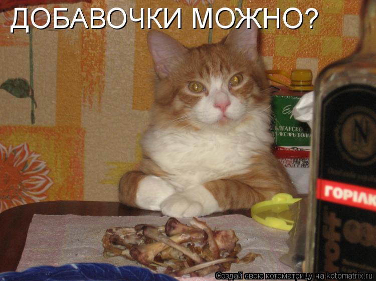 ДОБАВОЧКИ МОЖНО?... Котоматрица: ДОБАВОЧКИ МОЖНО?