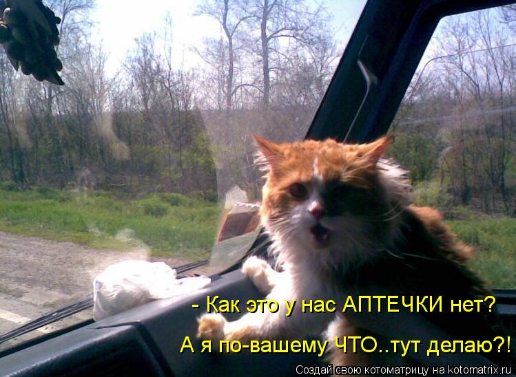 - Как это у нас АПТЕЧКИ нет? А я по-вашему ЧТО..тут делаю?!... Котоматрица: - Как это у нас АПТЕЧКИ нет? А я по-вашему ЧТО..тут делаю?!