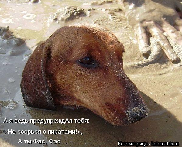 А я ведь предупреждАл тебя: А ты Фас, Фас… «Не ссорься с пиратами!»,... Котоматрица: А я ведь предупреждАл тебя: А ты Фас, Фас… «Не ссорься с пиратами!»,