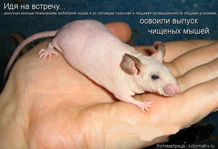 ...многочисленным пожеланиям любителей кошек и их питомцев сельская и пищевая промышленности общими у... Котоматрица: ...многочисленным пожеланиям любителей кошек и их питомцев сельская и пищевая промышленности общими усилиями... Идя на встречу... освоили вы