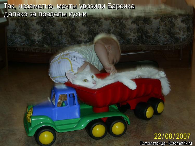 Так, незаметно, мечты увозили Барсика далеко за пределы кухни...... Котоматрица: Так, незаметно, мечты увозили Барсика далеко за пределы кухни...