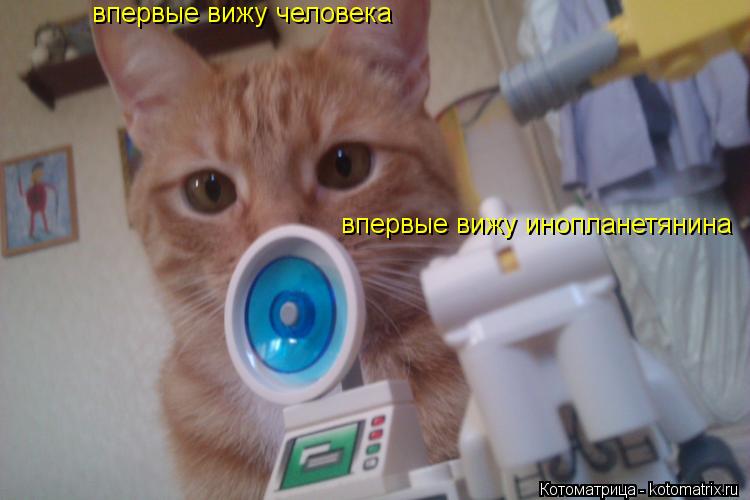 впервые вижу инопланетянина впервые вижу человека... Котоматрица: впервые вижу инопланетянина впервые вижу человека