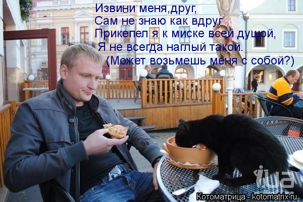 Котоматрица: Извини меня,друг, Сам не знаю как вдруг Прикепел я к миске всей душой, Я не всегда наглый такой. (Может возьмешь меня с собой?)