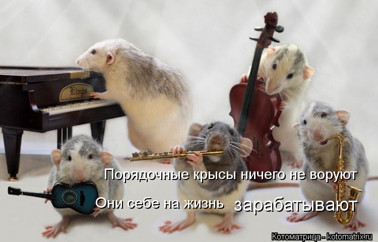 Порядочные крысы ничего не воруют Они себе на жизнь зарабатывают... Котоматрица: Порядочные крысы ничего не воруют Они себе на жизнь зарабатывают
