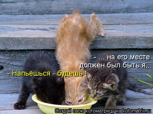 - ... на его месте должен был быть я... - Напьёшься - будешь !... Котоматрица: - ... на его месте должен был быть я... - Напьёшься - будешь !