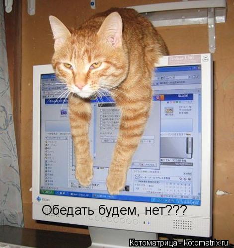Обедать будем, нет???... Котоматрица: Обедать будем, нет???