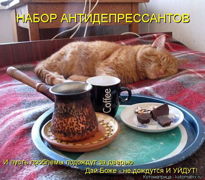 Котоматрица: НАБОР АНТИДЕПРЕССАНТОВ И пусть проблемы подождут за дверью Дай Боже - не дождутся И УЙДУТ!