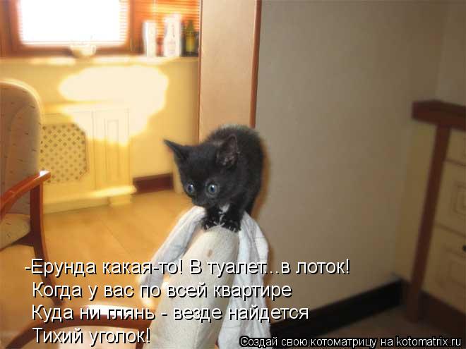 -Ерунда какая-то! В туалет...в лоток! Когда у вас по всей квартире Куда ни глянь - везде найдется Тих... Котоматрица: -Ерунда какая-то! В туалет...в лоток! Когда у вас по всей квартире Куда ни глянь - везде найдется Тихий уголок!
