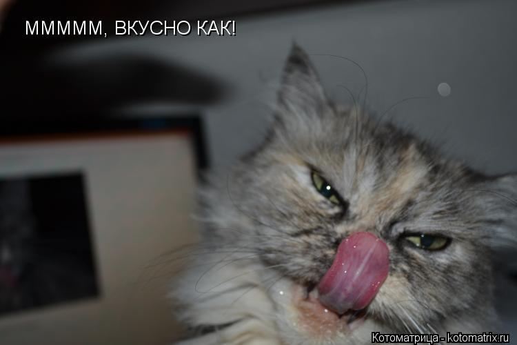 МММММ, ВКУСНО КАК!... Котоматрица: МММММ, ВКУСНО КАК!