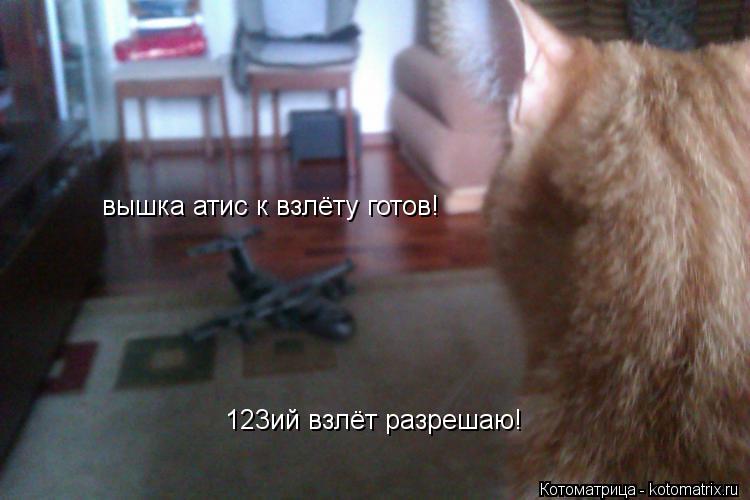 вышка атис к взлёту готов! 123ий взлёт разрешаю!... Котоматрица: вышка атис к взлёту готов! 123ий взлёт разрешаю!