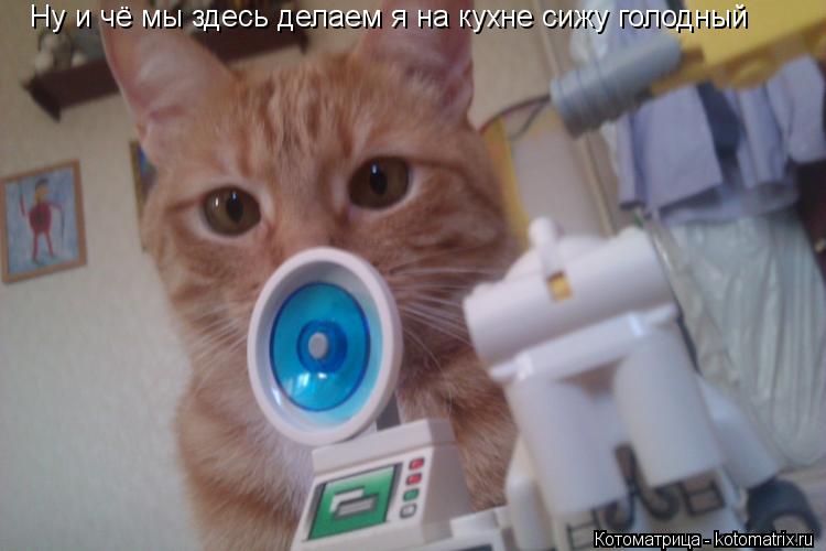 Ну и чё мы здесь делаем я на кухне сижу голодный... Котоматрица: Ну и чё мы здесь делаем я на кухне сижу голодный