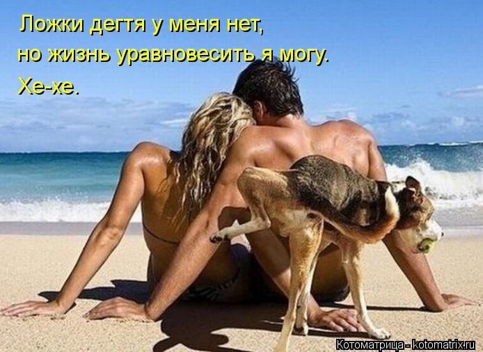 Ложки дегтя у меня нет, но жизнь уравновесить я могу. Хе-хе.... Котоматрица: Ложки дегтя у меня нет, но жизнь уравновесить я могу. Хе-хе.