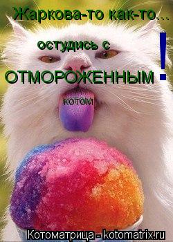 Жаркова-то как-то... ОТМОРОЖЕННЫМ котом остудись с !... Котоматрица: Жаркова-то как-то... ОТМОРОЖЕННЫМ котом остудись с !