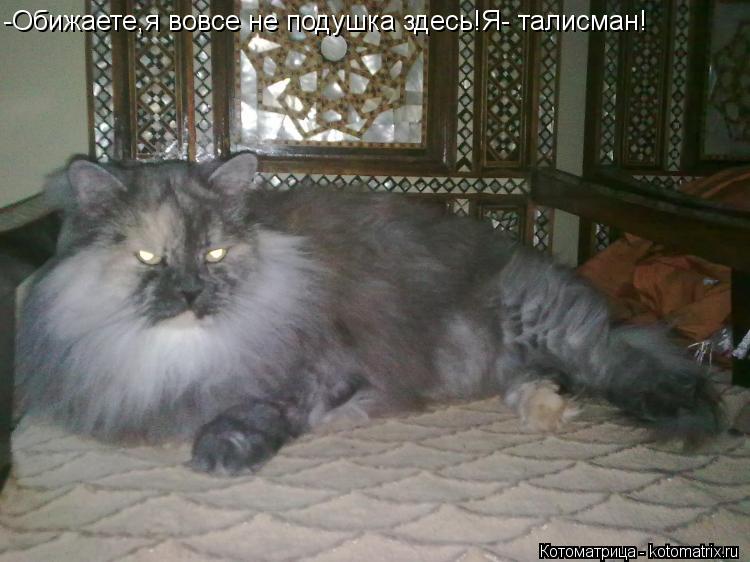 -Обижаете,я вовсе не подушка здесь!Я- талисман!... Котоматрица: -Обижаете,я вовсе не подушка здесь!Я- талисман!