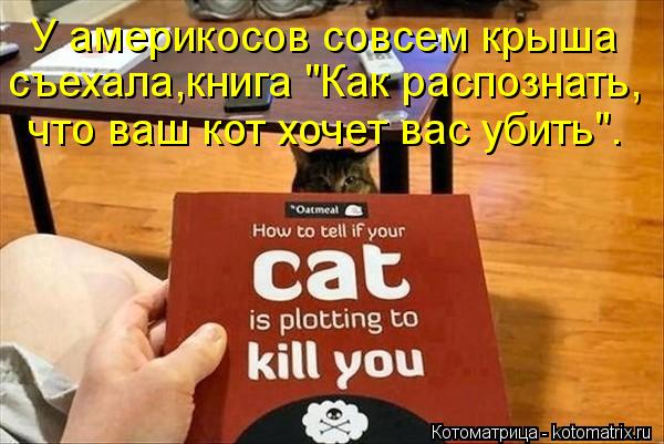 У америкосов совсем крыша съехала,книга "Как распознать, что ваш кот хочет вас убить".... Котоматрица: У америкосов совсем крыша съехала,книга "Как распознать, что ваш кот хочет вас убить".