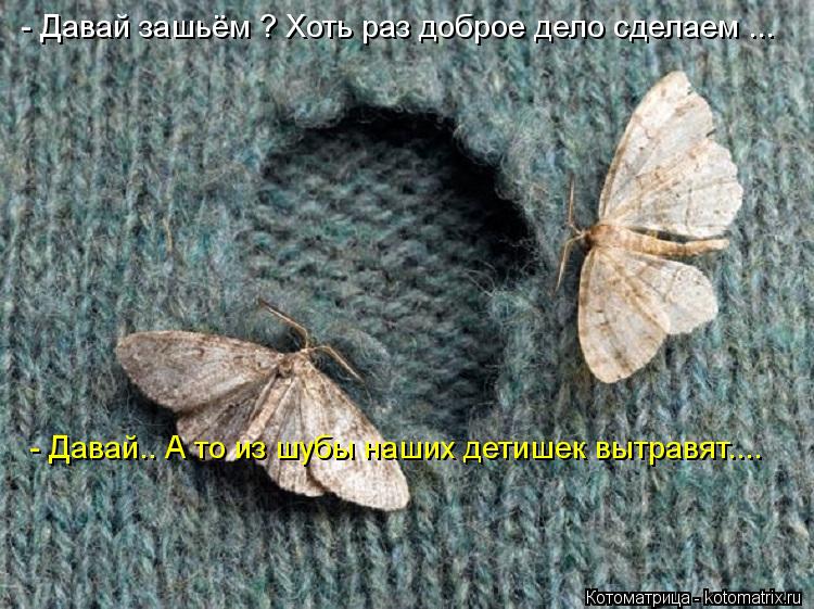 Котоматрица: - Давай зашьём ? Хоть раз доброе дело сделаем ... - Давай.. А то из шубы наших детишек вытравят....