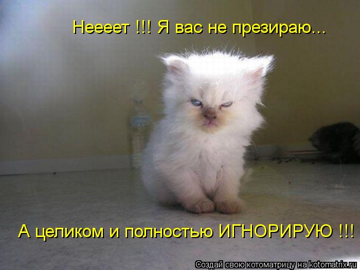 Неееет !!! Я вас не презираю... А целиком и полностью ИГНОРИРУЮ !!!... Котоматрица: Неееет !!! Я вас не презираю... А целиком и полностью ИГНОРИРУЮ !!!
