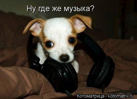Ну где же музыка?... Котоматрица: Ну где же музыка?