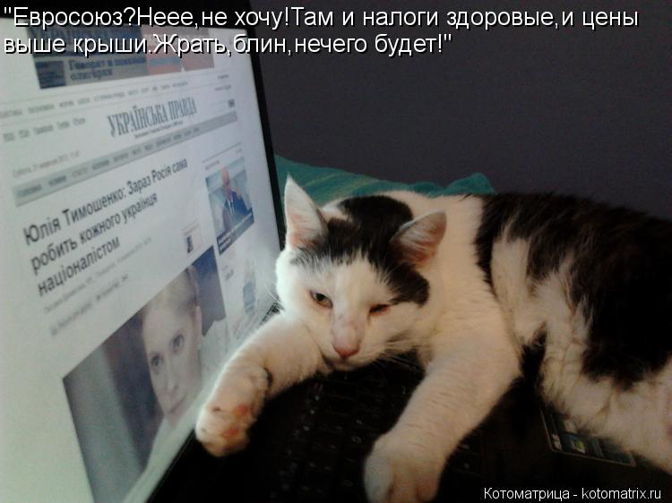 Котоматрица: "Евросоюз?Неее,не хочу!Там и налоги здоровые,и цены выше крыши.Жрать,блин,нечего будет!"