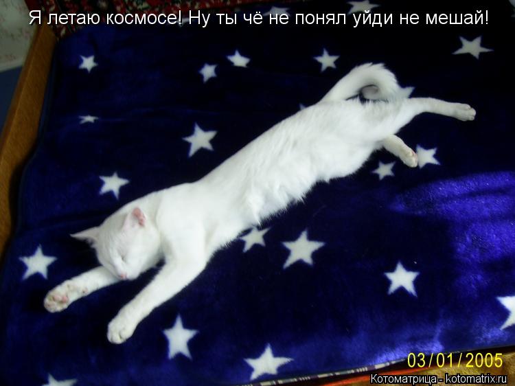 Я летаю космосе! Ну ты чё не понял уйди не мешай!... Котоматрица: Я летаю космосе! Ну ты чё не понял уйди не мешай!