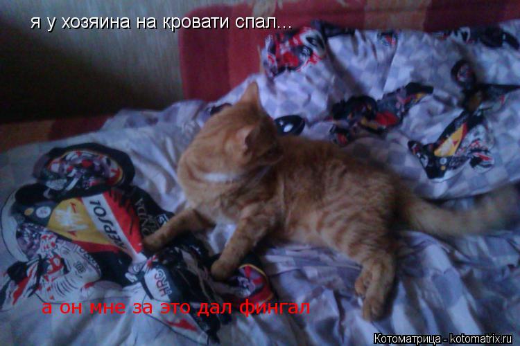 а он мне за это дал фингал я у хозяина на кровати спал...... Котоматрица: а он мне за это дал фингал я у хозяина на кровати спал...