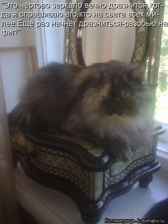 Котоматрица: "Это чёртово зеркало вечно дразнится,ког- да я спрашиваю его,кто на свете всех ми- лее.Ещё раз начнёт дразниться-разобью на фиг!"