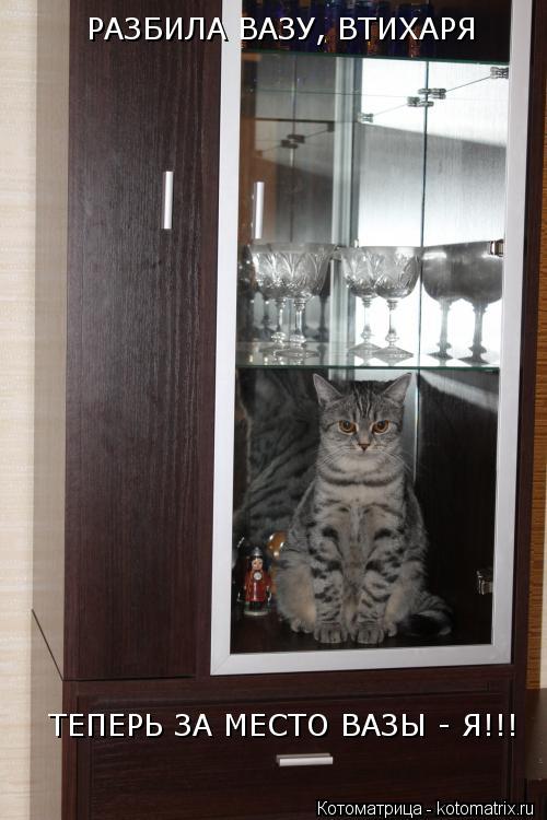 Котоматрица: ТЕПЕРЬ ЗА МЕСТО ВАЗЫ - Я!!! РАЗБИЛА ВАЗУ, ВТИХАРЯ