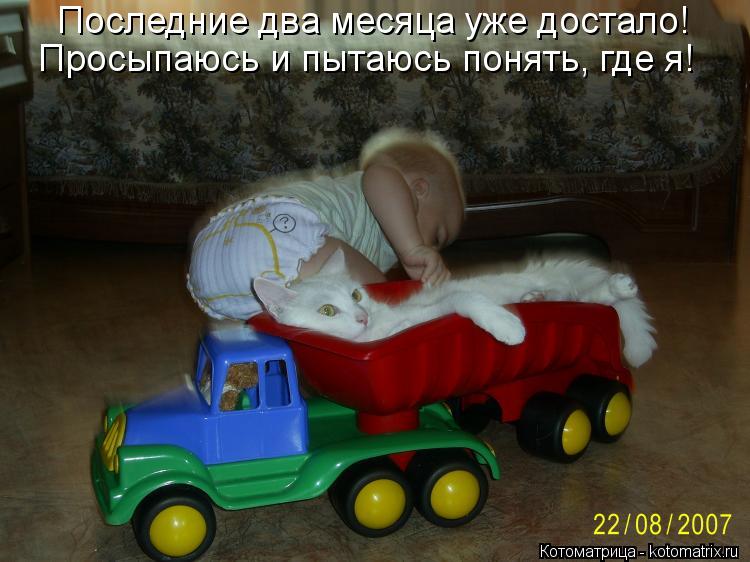 Последние два месяца уже достало! Просыпаюсь и пытаюсь понять, где я!... Котоматрица: Последние два месяца уже достало! Просыпаюсь и пытаюсь понять, где я!