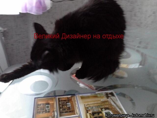 Великий Дизайнер на отдыхе... Котоматрица: Великий Дизайнер на отдыхе