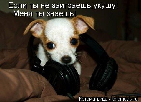 Котоматрица: Если ты не заиграешь,укушу! Меня ты знаешь!