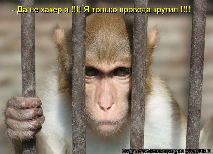 Котоматрица: - Да не хакер я !!!! Я только провода крутил !!!!