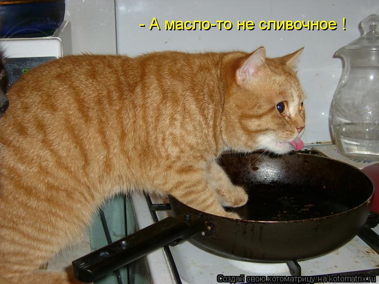 Котоматрица: - А масло-то не сливочное !