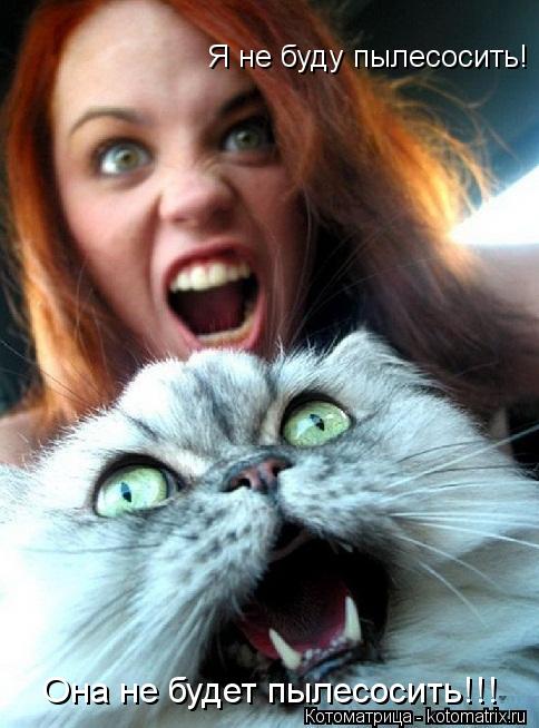 Я не буду пылесосить! Она не будет пылесосить!!!... Котоматрица: Я не буду пылесосить! Она не будет пылесосить!!!