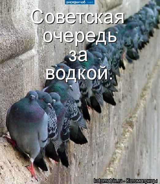 Советская очередь за водкой.... Котоматрица: Советская очередь за водкой.