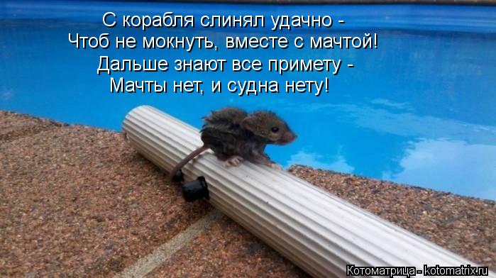 С корабля слинял удачно - Дальше знают все примету - Чтоб не мокнуть, вместе с мачтой! Мачты нет, и с... Котоматрица: С корабля слинял удачно - Дальше знают все примету - Чтоб не мокнуть, вместе с мачтой! Мачты нет, и судна нету!
