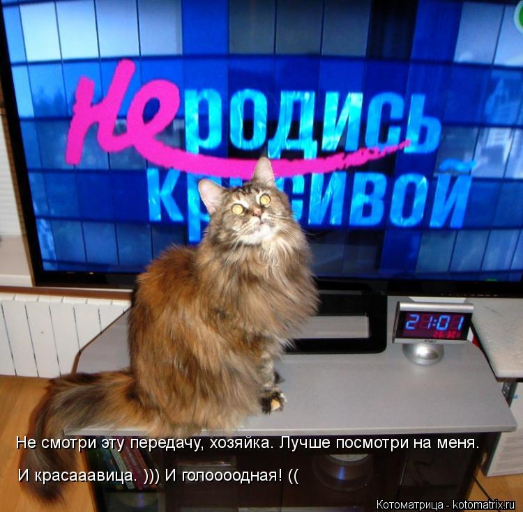 Не смотри эту передачу, хозяйка. Лучше посмотри на меня. И красааавица. ))) И голоооодная! ((... Котоматрица: Не смотри эту передачу, хозяйка. Лучше посмотри на меня. И красааавица. ))) И голоооодная! ((