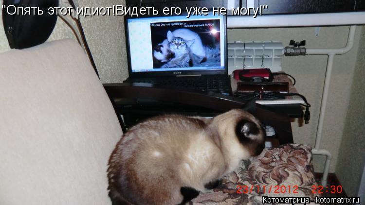 Котоматрица: "Опять этот идиот!Видеть его уже не могу!"