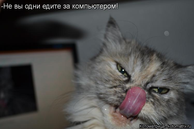 Котоматрица: -Не вы одни едите за компьютером!