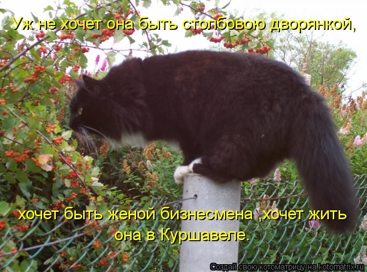 Уж не хочет она быть столбовою дворянкой, хочет быть женой бизнесмена ,хочет жить она в Куршавеле.... Котоматрица: Уж не хочет она быть столбовою дворянкой, хочет быть женой бизнесмена ,хочет жить она в Куршавеле.