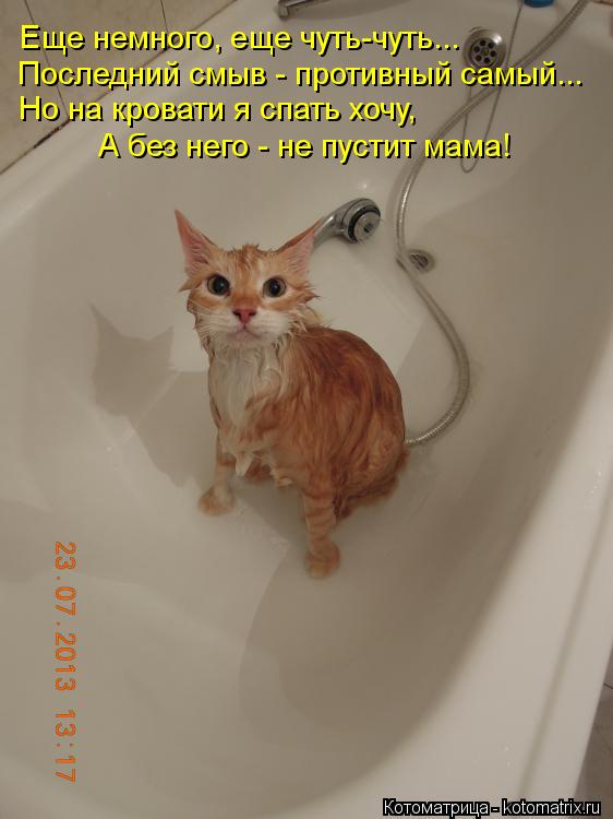 Еще немного, еще чуть-чуть... Последний смыв - противный самый... Но на кровати я спать хочу, А без ... Котоматрица: Еще немного, еще чуть-чуть... Последний смыв - противный самый... Но на кровати я спать хочу, А без него - не пустит мама!