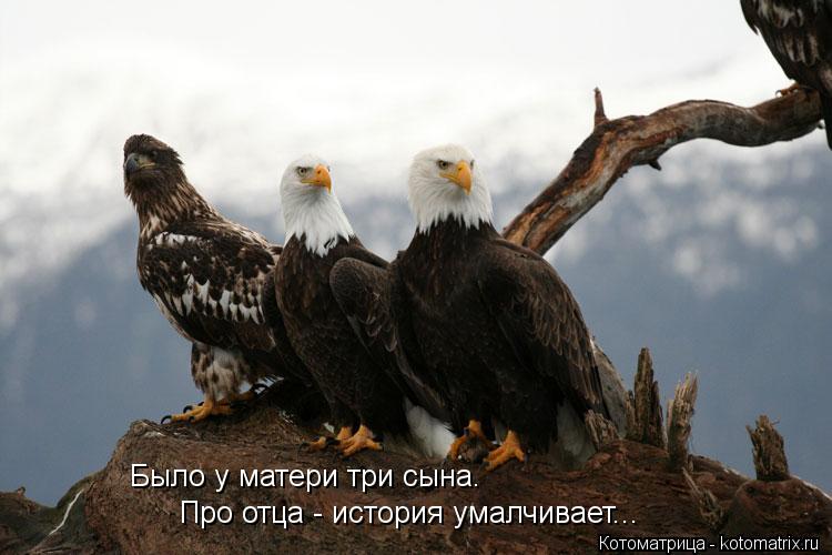 Про отца - история умалчивает... Было у матери три сына.... Котоматрица: Про отца - история умалчивает... Было у матери три сына.