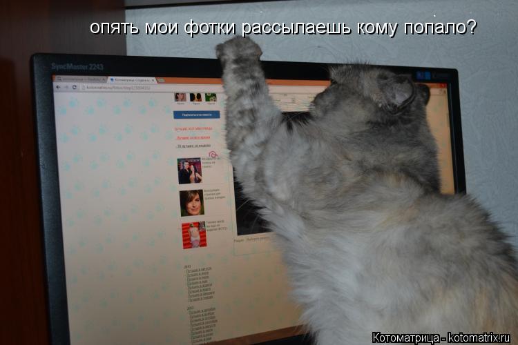опять мои фотки рассылаешь кому попало?... Котоматрица: опять мои фотки рассылаешь кому попало?