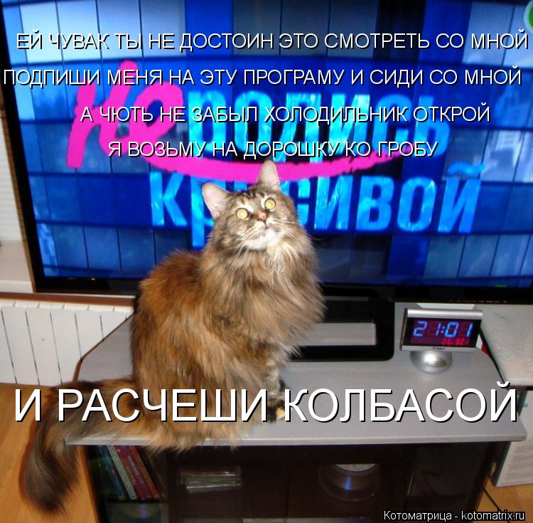 ЕЙ ЧУВАК ТЫ НЕ ДОСТОИН ЭТО СМОТРЕТЬ СО МНОЙ ПОДПИШИ МЕНЯ НА ЭТУ ПРОГРАМУ И СИДИ СО МНОЙ А ЧЮТЬ НЕ ЗАБ... Котоматрица: ЕЙ ЧУВАК ТЫ НЕ ДОСТОИН ЭТО СМОТРЕТЬ СО МНОЙ ПОДПИШИ МЕНЯ НА ЭТУ ПРОГРАМУ И СИДИ СО МНОЙ А ЧЮТЬ НЕ ЗАБЫЛ ХОЛОДИЛЬНИК ОТКРОЙ Я ВОЗЬМУ НА ДОРОШК