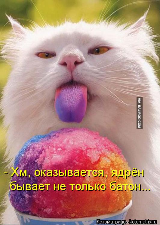 - Хм, оказывается, ядрён бывает не только батон...... Котоматрица: - Хм, оказывается, ядрён бывает не только батон...