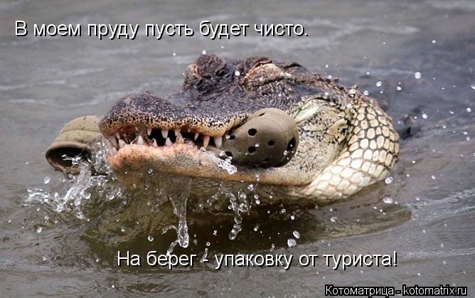 http://kotomatrix.ru/images/lolz/2013/09/23/kotomatritsa_Zc.jpg
