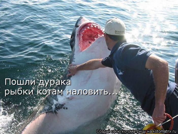 Пошли дурака рыбки котам наловить...... Котоматрица: Пошли дурака рыбки котам наловить...