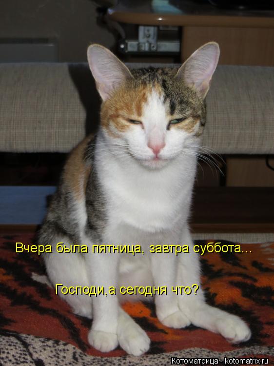 Вчера была пятница, завтра суббота... Господи,а сегодня что?... Котоматрица: Вчера была пятница, завтра суббота... Господи,а сегодня что?