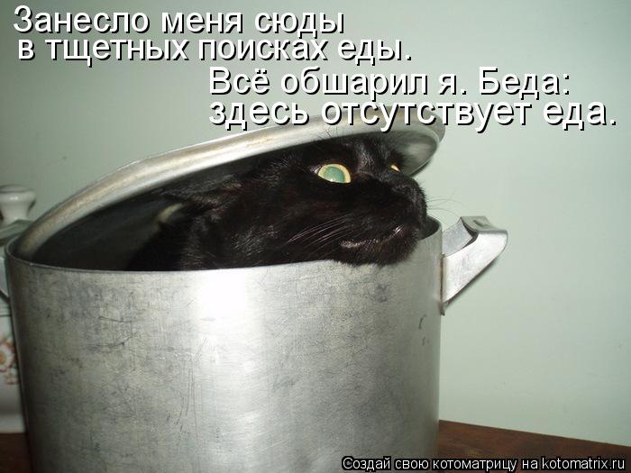 Занесло меня сюды в тщетных поисках еды. здесь отсутствует еда. Всё обшарил я. Беда:... Котоматрица: Занесло меня сюды в тщетных поисках еды. здесь отсутствует еда. Всё обшарил я. Беда: