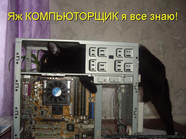 Яж КОМПЬЮТОРЩИК я все знаю!... Котоматрица: Яж КОМПЬЮТОРЩИК я все знаю!